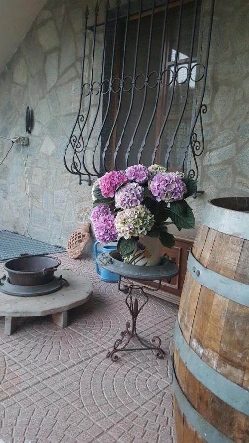 B&B La Corte Dei Samidagi Alessandria Zewnętrze zdjęcie